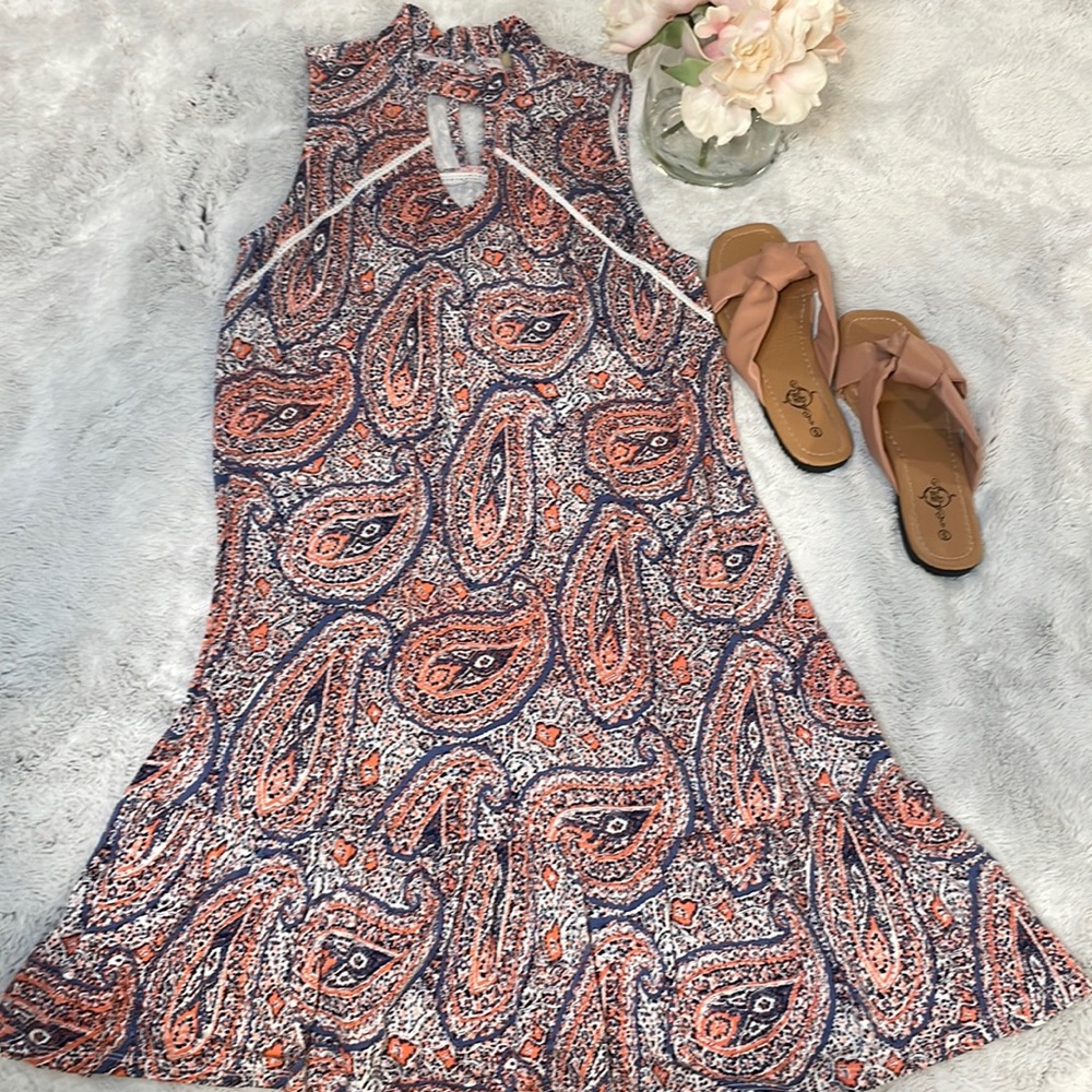 True Craft Pink and Blue Dress